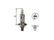 H1 Halogenlampe Racing 12V/100W P14,5s (nicht StVZO zul�ssig)