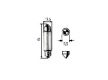 Soffitte,K 12V/5W S8,5 (10St�ck)