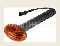 Blinkleuchte re. Iveco Euro Cargo - 0