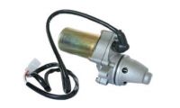 Anlasser Starter Motorrad Suzuki LT80 KFX80 12V 14z  31100-40b01 31200-ha-0682 - 0