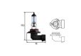 HB4 Halogenlampe 12V/51W P22d f.BMW,Mitsubishi,US-Modelle 89901129