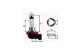 H8 Halogenlampe 12V/35W PGJ19-1 f.BMW,Ford,Piagio Roller 89901168